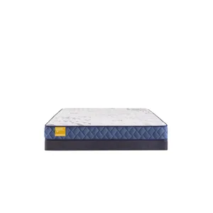 Golden Elegance Erie Foam Tight Top Twin Mattress