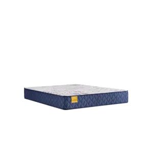 Golden Elegance Stately Firm Tight Top Queen Mattress