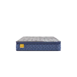 Golden Elegance Featherton Soft Euro Pillow Top Twin Long Mattress