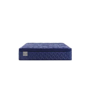 Reflexion Annapolis Soft Euro Pillow Top