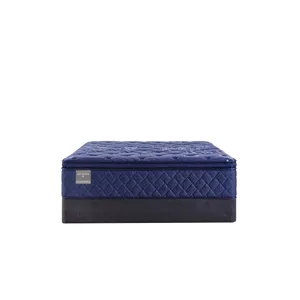 Reflexion Annapolis Soft Euro Pillow Top
