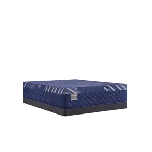 Reflexion Annapolis Soft Hybrid