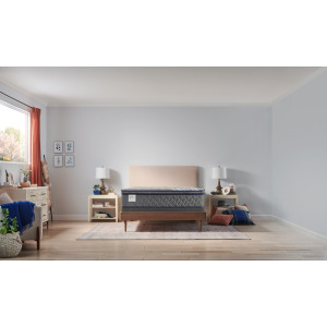 Royal Retreat Porter Soft Euro Pillow Top