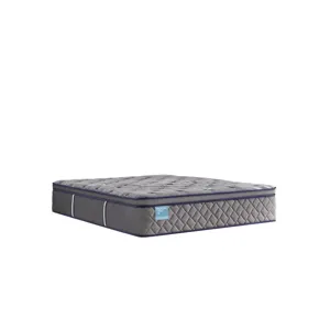 Wild Canyon Soft Euro Pillow Top Spring 14&quot; Mattress