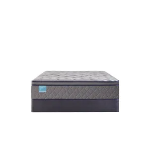 Palatial Crest Wild Canyon Soft Euro Pillow Top