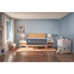Palatial Crest Wild Canyon Soft Euro Pillow Top
