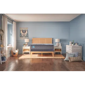 Palatial Crest Remey Soft Euro Pillow Top