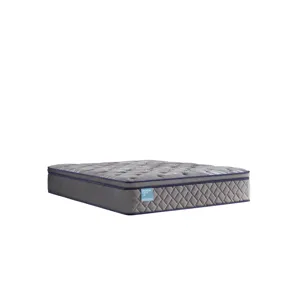 Palatial Crest Remey Soft Euro Pillow Top