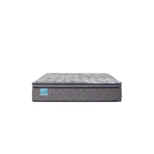 Palatial Crest Remey Soft Euro Pillow Top