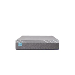 Palatial Crest Wild Canyon Medium Hybrid