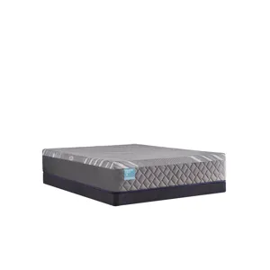 Palatial Crest Wild Canyon Medium Hybrid
