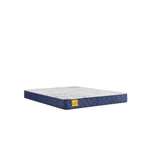 Golden Elegance Glacier Park Foam Mattress
