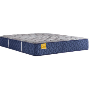 Golden Elegance Park Plaza Firm Tight Top Mattress