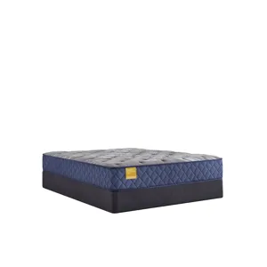 Golden Elegance Royal Park Firm Tight Top CA King Mattress