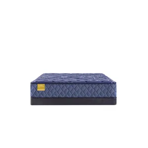 Golden Elegance Forsyth Park Medium Tight Top Split CA King Mattress