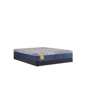Golden Elegance Royal Park Hybid Firm Twin Long Mattress