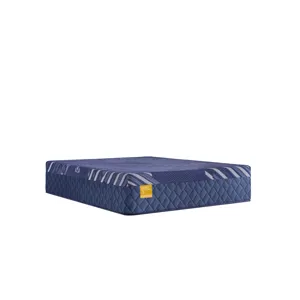 Golden Elegance Forsyth Park Soft Hybrid Mattress