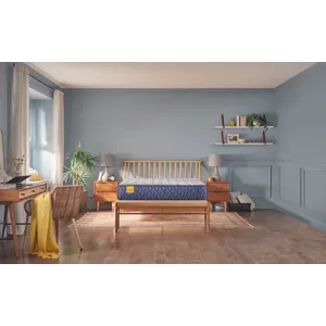 Golden Elegance Park Plaza Soft Tight Top CA King Mattress