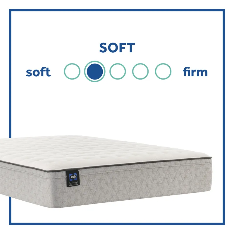 Essentials™ Winter Green Soft Faux Euro Top  Queen Mattress