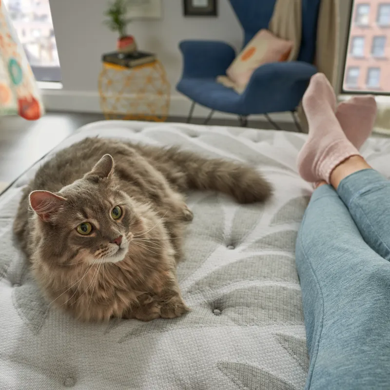 Posturepedic® Silver Pine Soft Faux Euro Top  Cal King Mattress