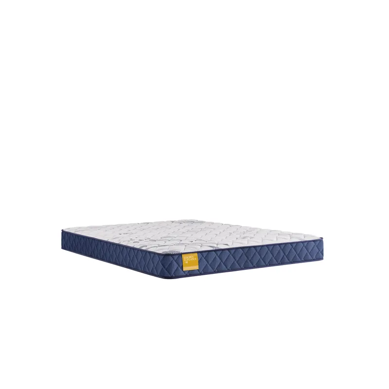 Golden Elegance Erie Foam Tight Top CA King Mattress