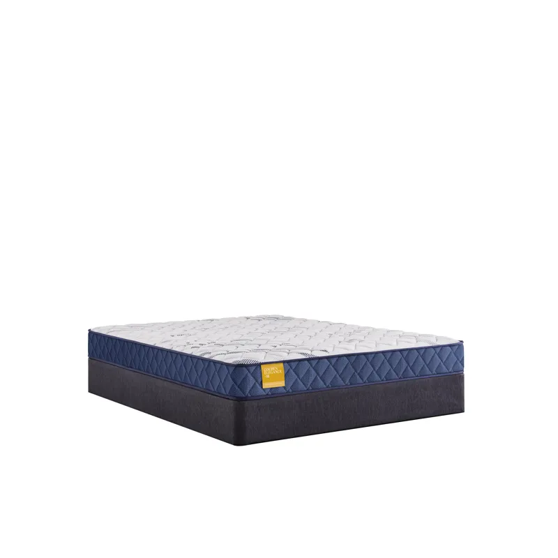 Golden Elegance Erie Foam Tight Top CA King Mattress