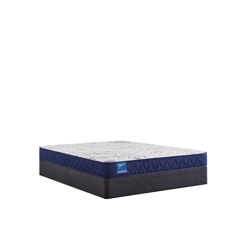 Carrington Chase Resting Manor Foam Tight Top
