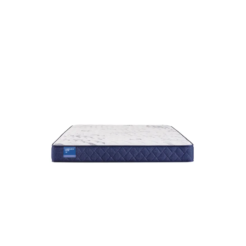 Carrington Chase Resting Manor Foam Tight Top