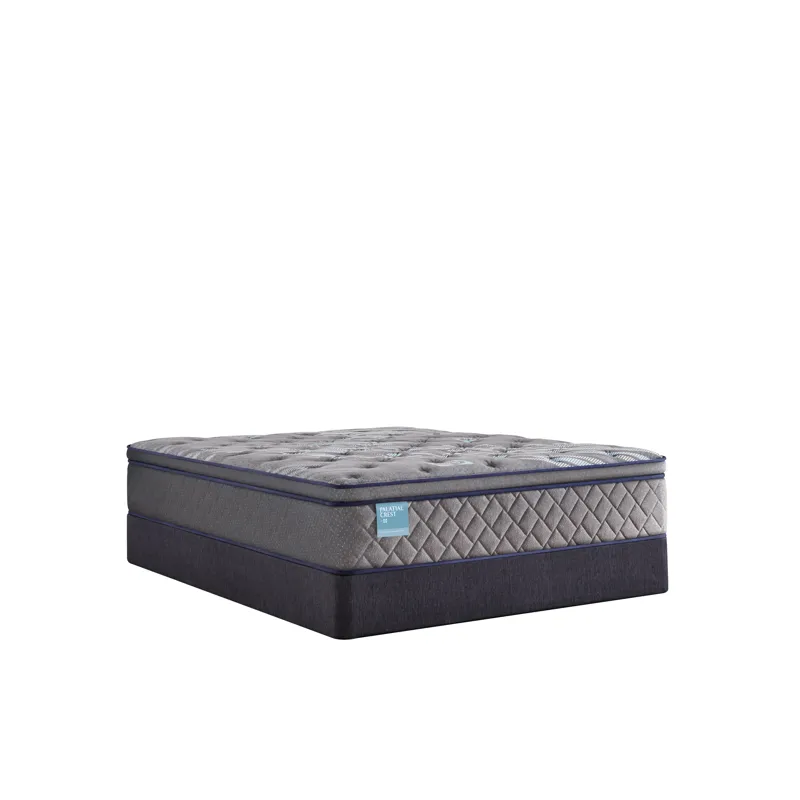 Palatial Crest Remey Soft Euro Pillow Top