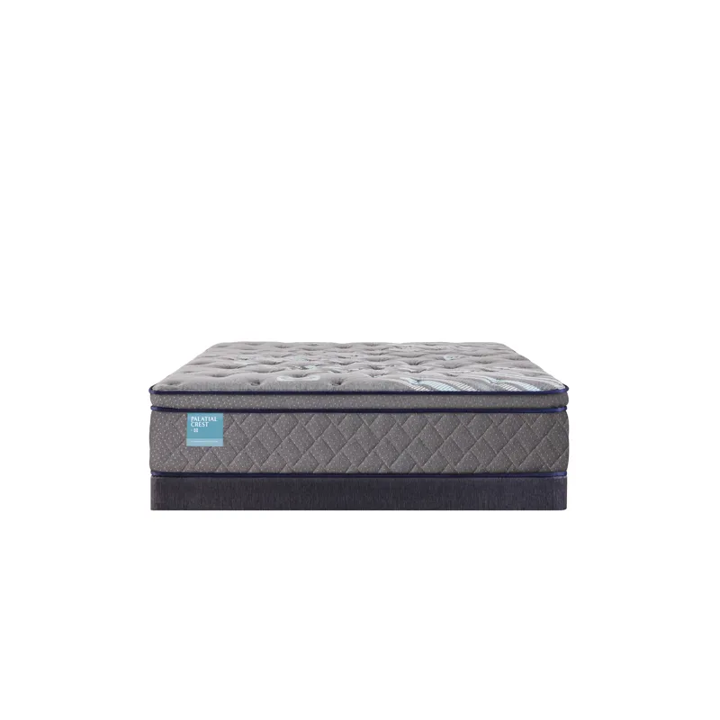 Palatial Crest Remey Soft Euro Pillow Top