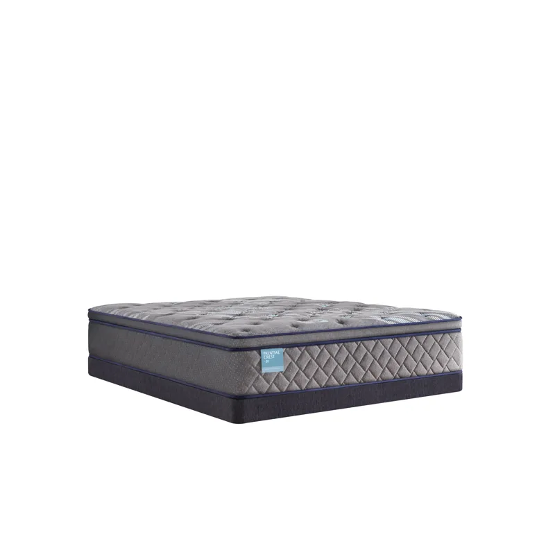 Palatial Crest Remey Soft Euro Pillow Top