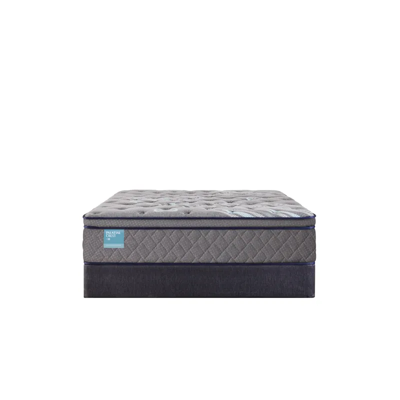 Palatial Crest Remey Soft Euro Pillow Top