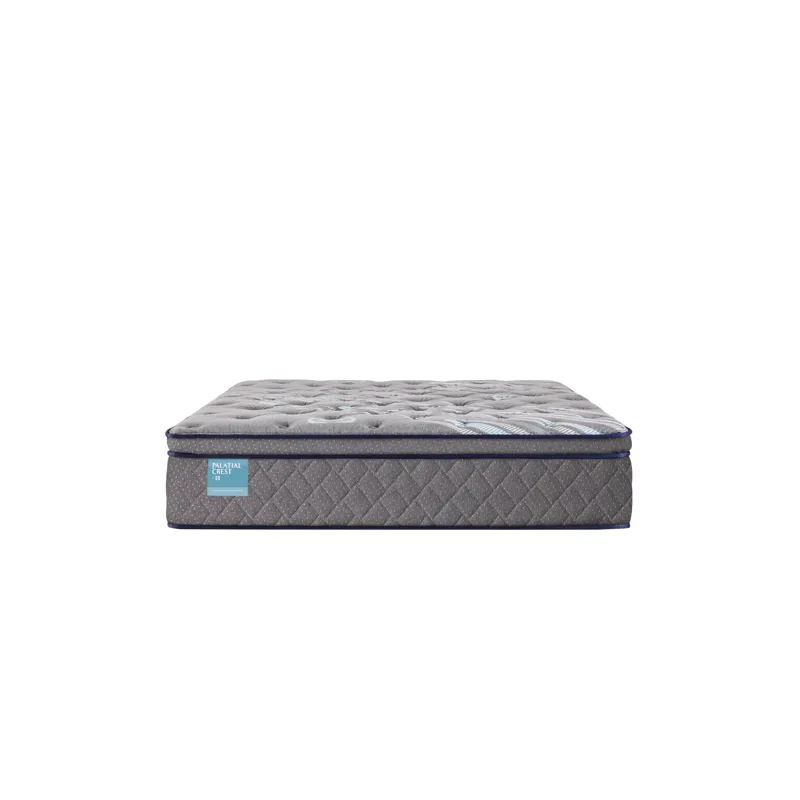 Palatial Crest Remey Soft Euro Pillow Top