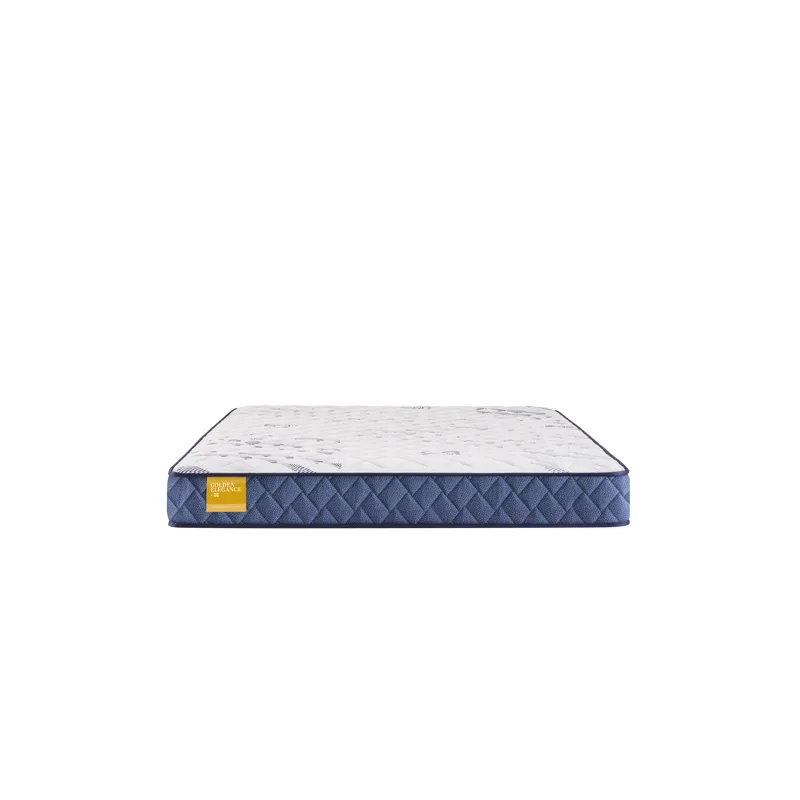 Golden Elegance Glacier Park Foam Twin Mattress