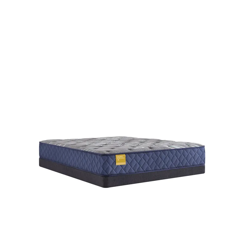 Golden Elegance Royal Park Firm Tight Top Queen Mattress
