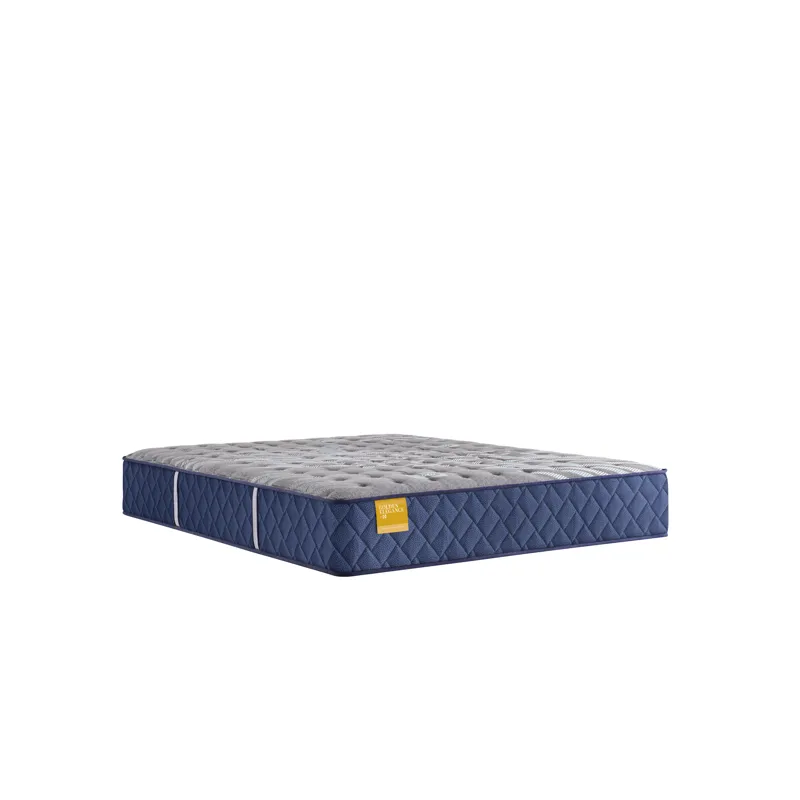 Golden Elegance Bridgerton Soft Tight Top Twin Long Mattress