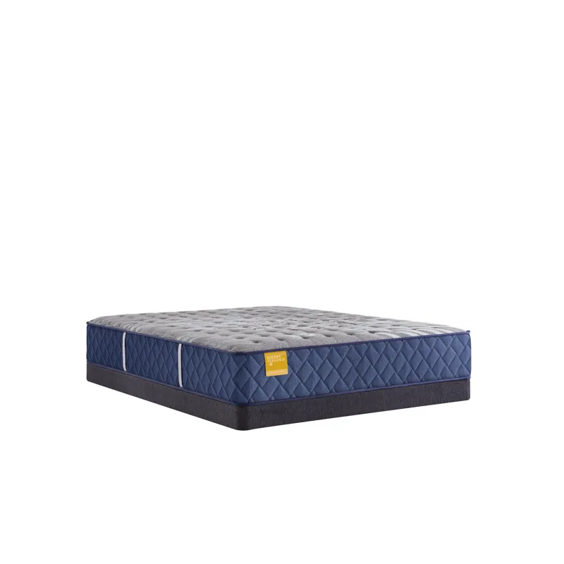 Golden Elegance Bridgerton Soft Tight Top Split CA King Mattress