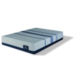 Blue Max 3000 Elite Plush