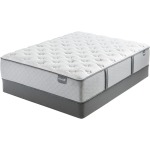 Graclyn Cushion Firm