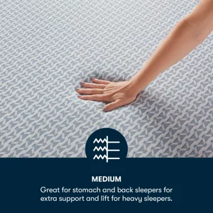 Sheep Retreat 10\\\" Medium Memory Foam Mattress