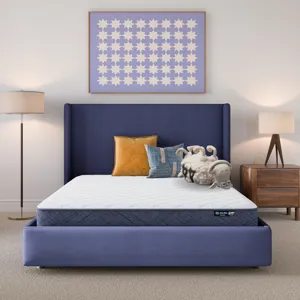 Five Star Mattress Sleep to Go 7\\\" Firm Mattress in a Box