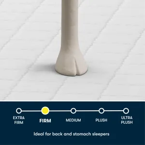 Serta Perfect Day 7\" Firm Mattress in a Box -Queen