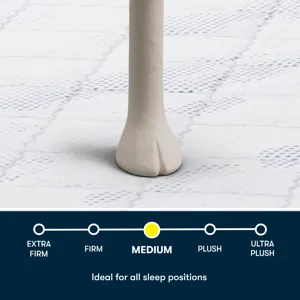 Serta Perfect Day 10\" Medium Mattress in a Box -Queen