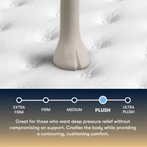 Perfect Sleeper Cascade Ridge Plush 12.5\" Plush Mattress -Queen