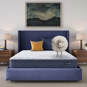 Five Star Mattress Sleep to Go 10\\\" Plush Pillow Top Mattress in a Box