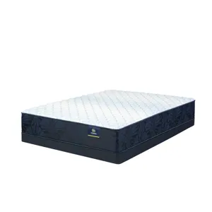 Classic Dorian 12.5\" Firm Mattress -Twin