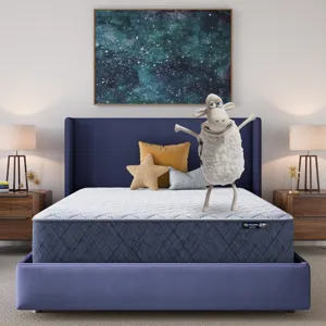 Five Star Mattress Sleep to Go 12\\\" Firm Mattress in a Box