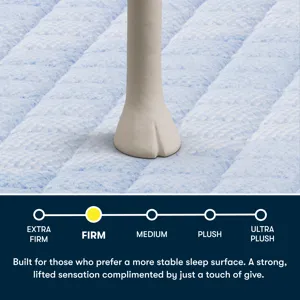 Serta Perfect Day 14\" Firm Mattress in a Box -Twin