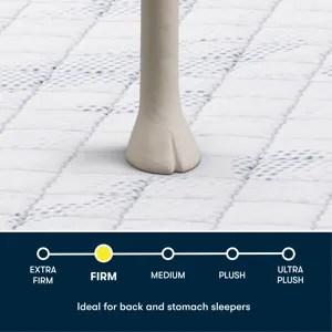 Serta Perfect Day 12\" Firm Mattress in a Box -Twin