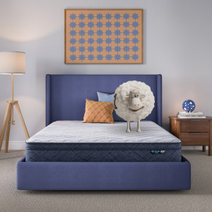 Serta Perfect Day 10" Plush Pillow Top Mattress in a Box